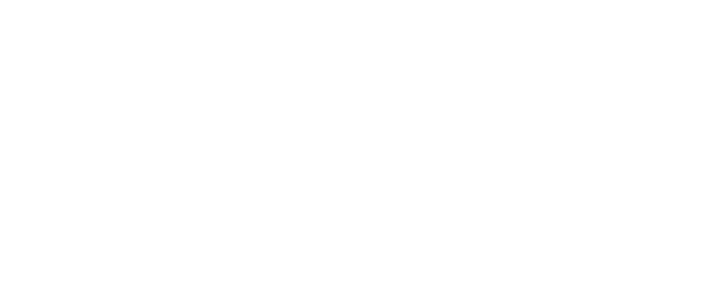 EVS 800×320 transparent